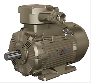 Permanent Magnet Synchronous Motor